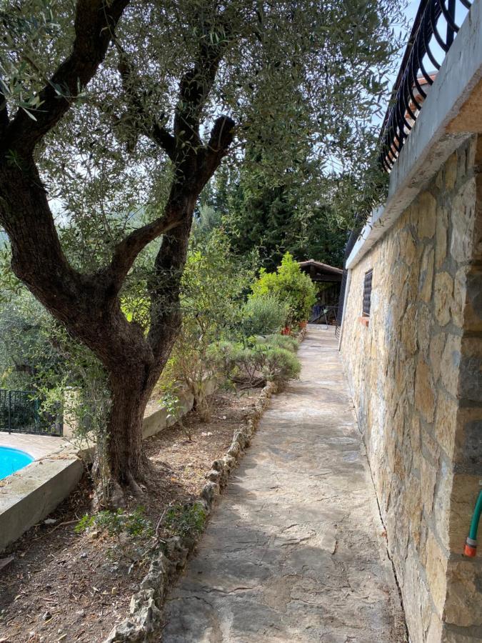 Entre Nice Et Monaco Grande Villa Avec Piscine Privee 12 Personnes Drap Екстер'єр фото
