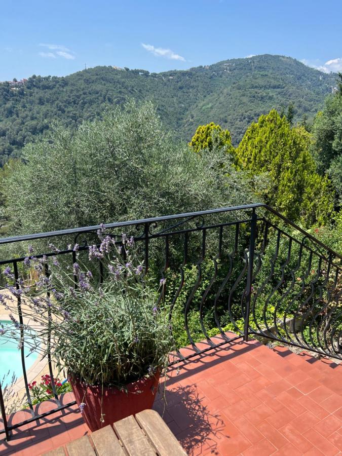Entre Nice Et Monaco Grande Villa Avec Piscine Privee 12 Personnes Drap Екстер'єр фото