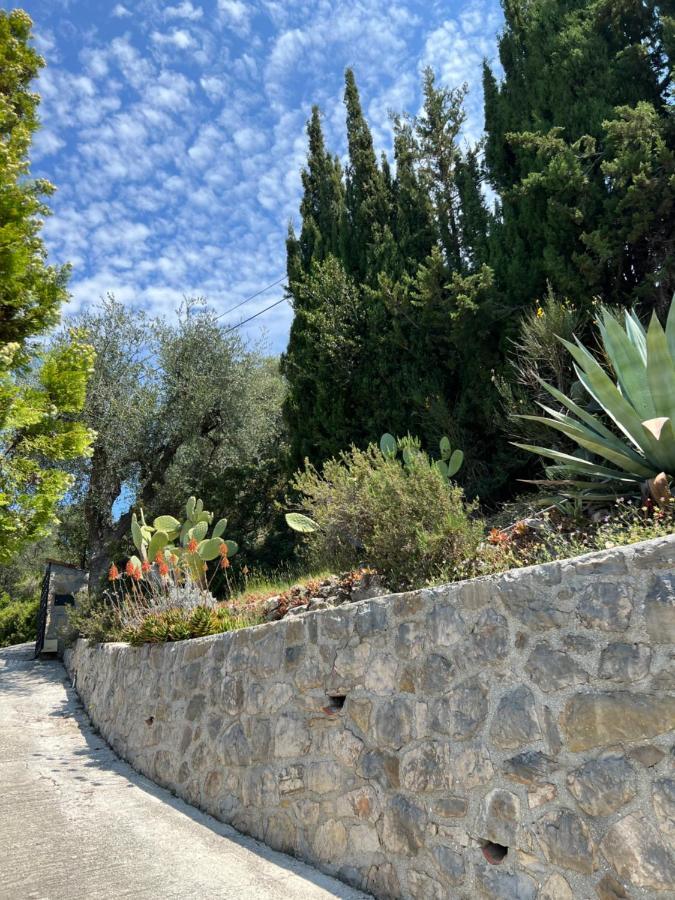 Entre Nice Et Monaco Grande Villa Avec Piscine Privee 12 Personnes Drap Екстер'єр фото