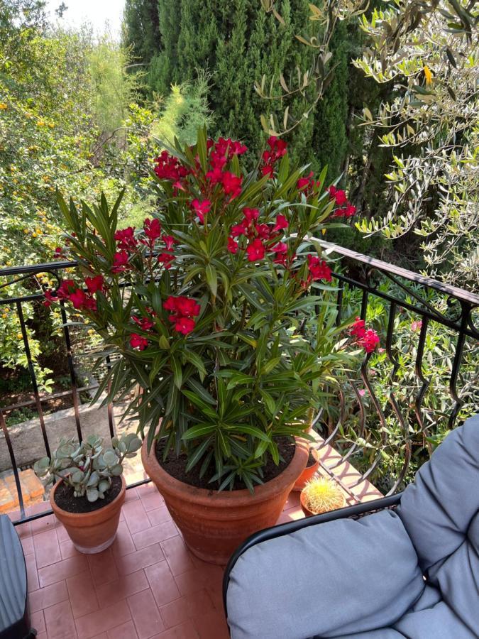 Entre Nice Et Monaco Grande Villa Avec Piscine Privee 12 Personnes Drap Екстер'єр фото